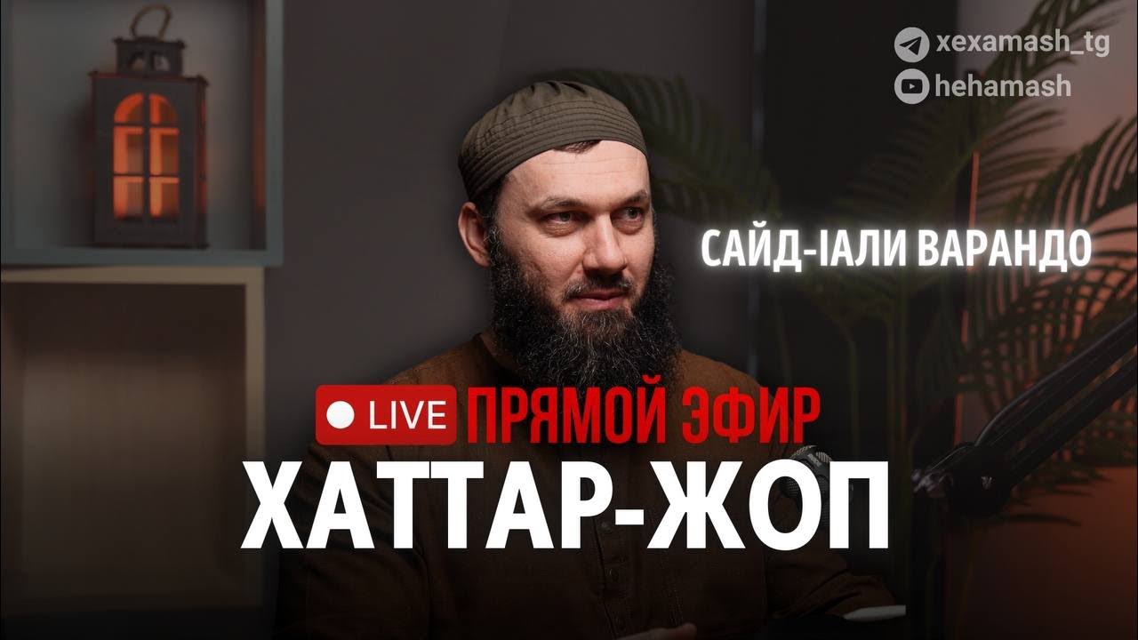 Сайд-1али хаттаран жоп луш ву 17.02.2026