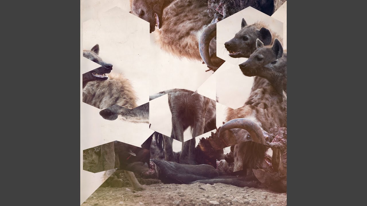 The Wish (Manoo Likes Apfelschorle Remix)