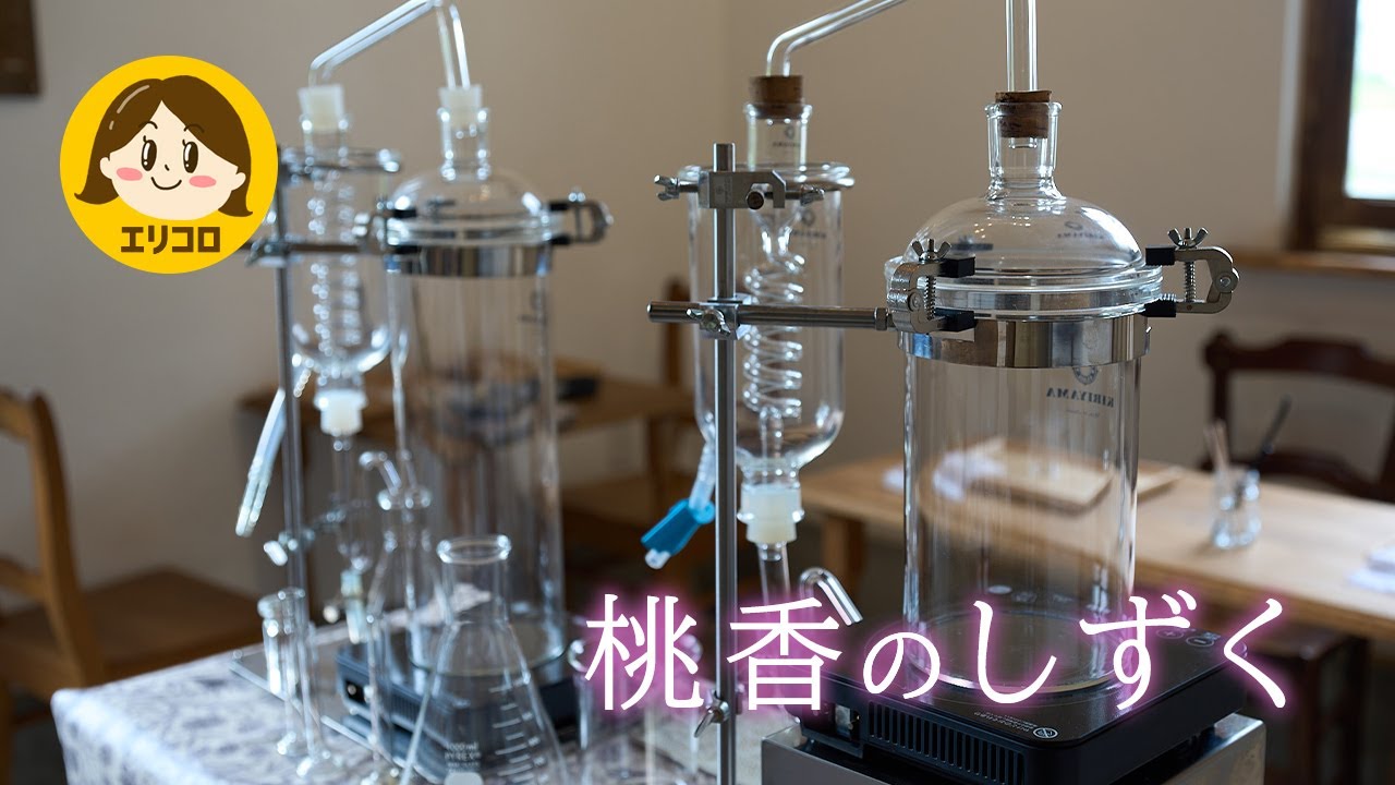 灯菓舎✕あろまららくコラボイベント『桃香のしずく』イベント中の様子を少しだけお届けします！