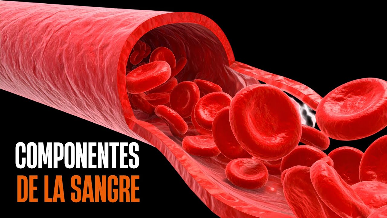 Componentes de la sangre