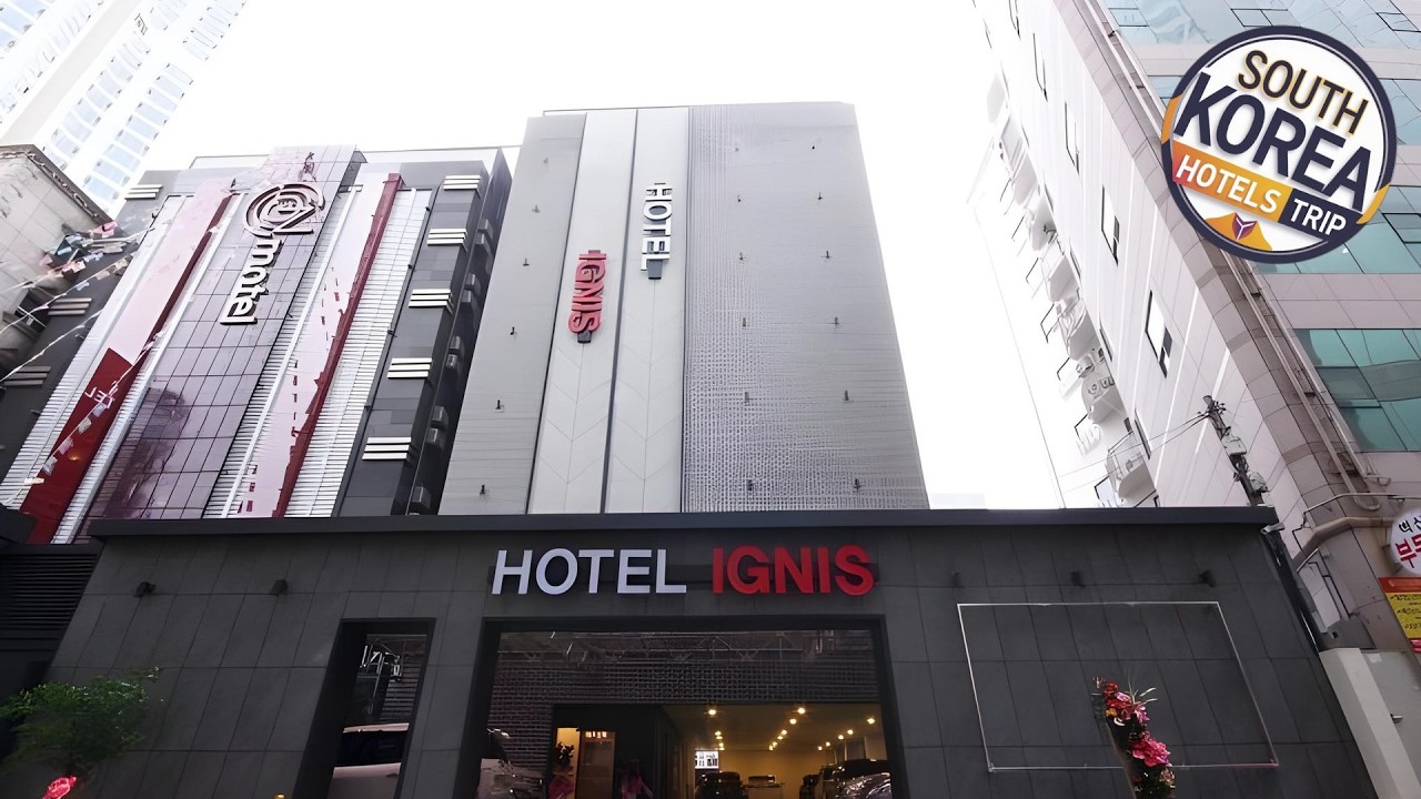 Ignis Hotel Busan Sports Complex Branch | Busan, South Korea | Hotel Review ⭐