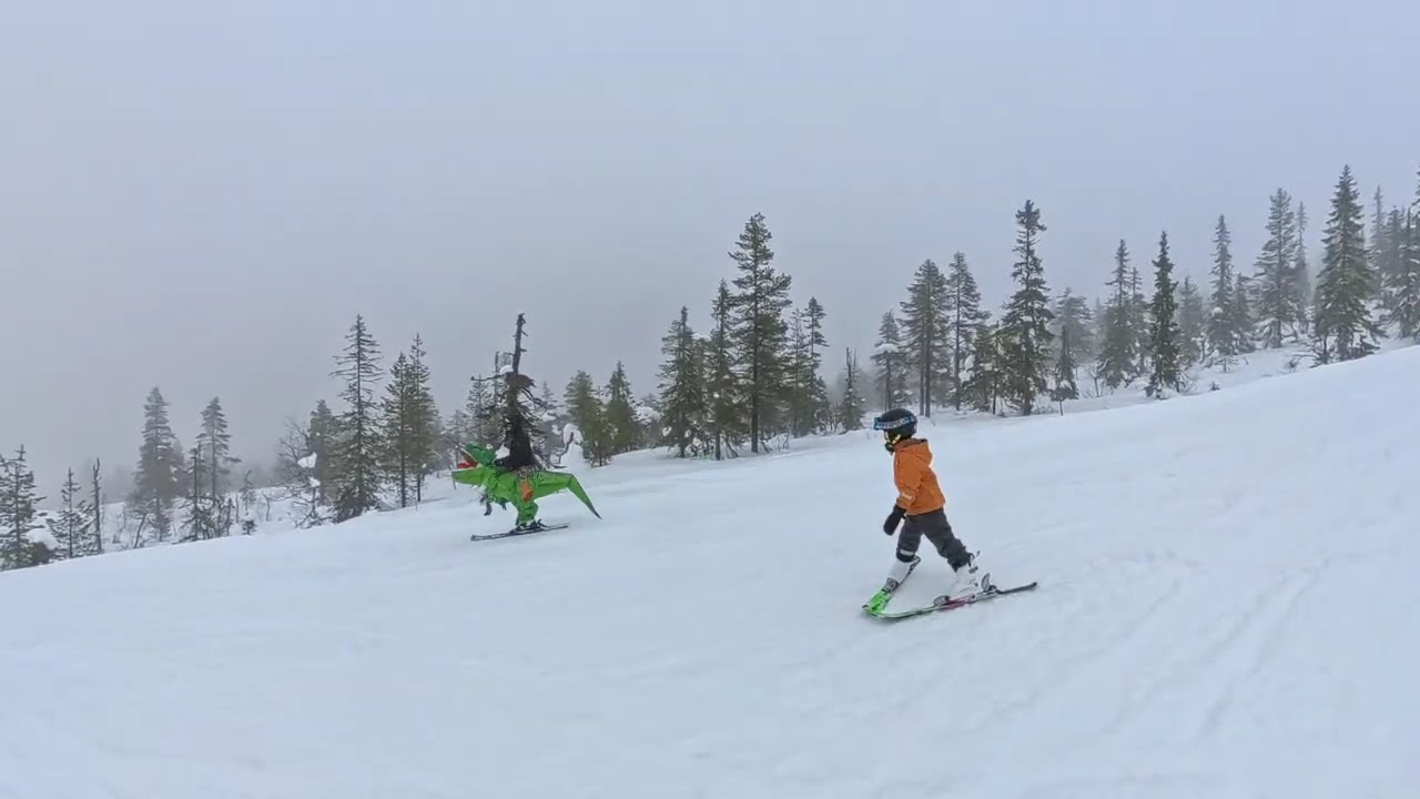 Bjärven and Halkotriket, at Stöten #skiing #ski #skigear #insta360