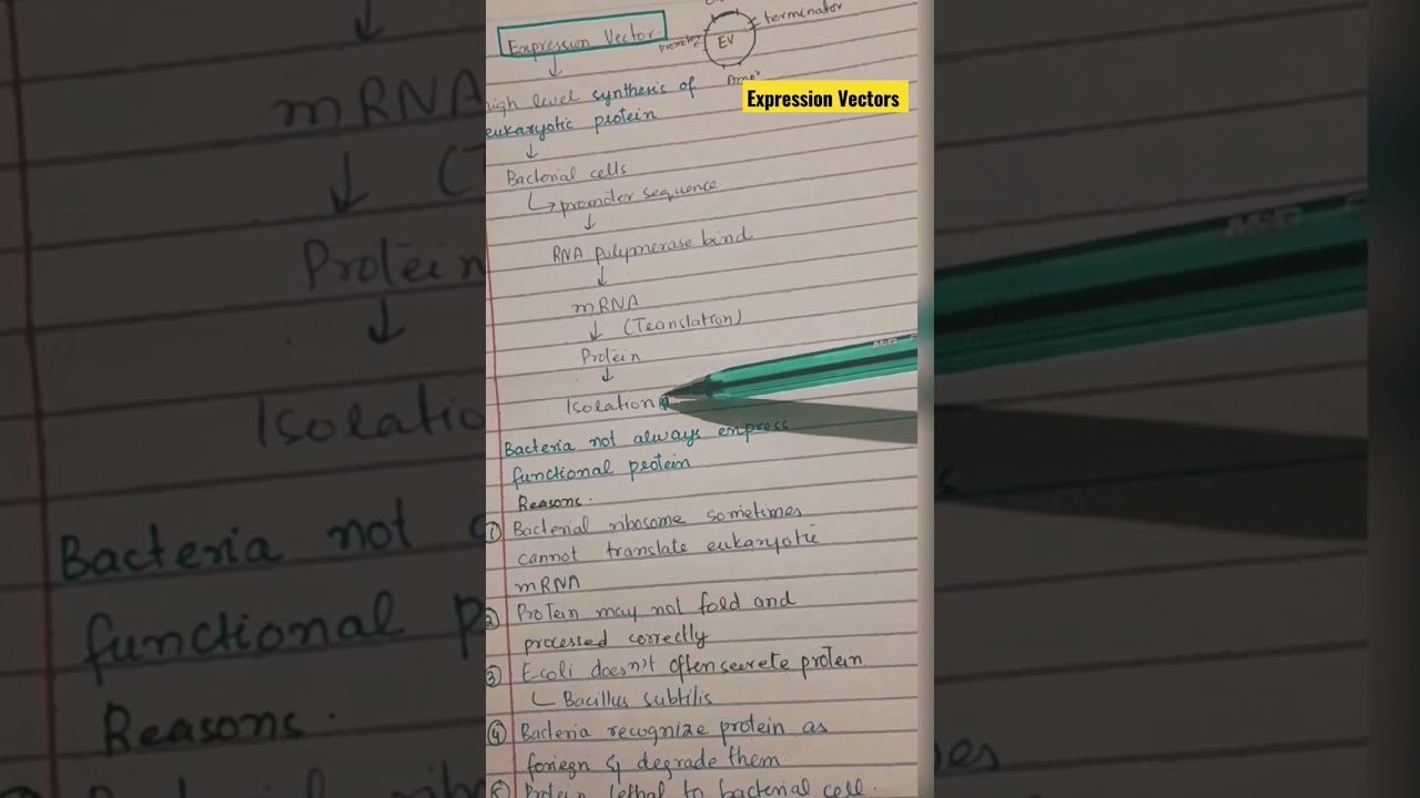 Fucntion of Expression vectors #vector  #expressionvector #biotechnology #youtubeshorts #shorts
