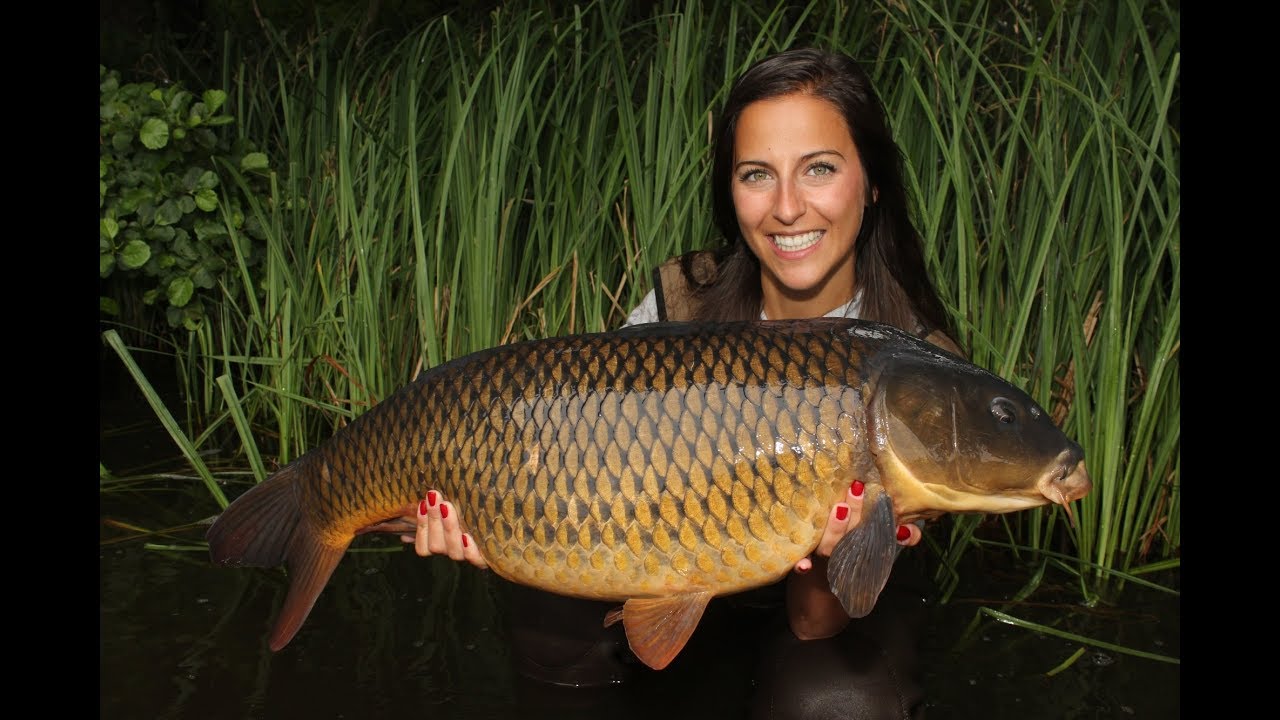 Boilies Rollen - Boilies selbst gemacht - Selfmade boilies - große Karpfen live- big carp