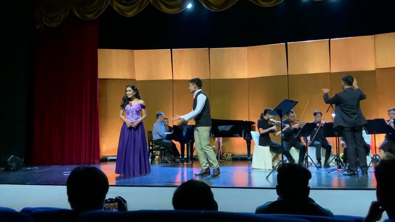 I See the Light from the movie Tangled performed by Nate and Sweeney feat. Vivace Strings
