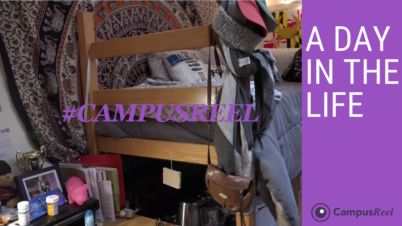 Muhlenberg College College Dorm Room Tour
