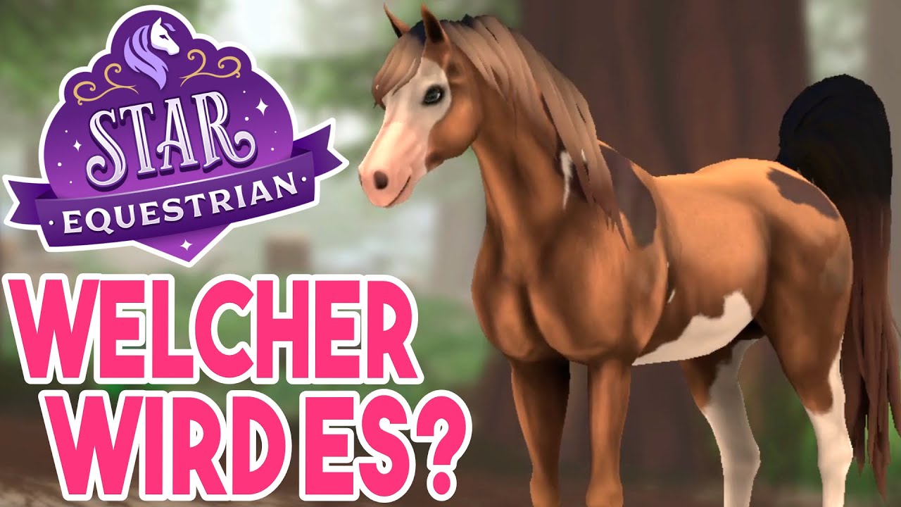 Ich kaufe einen Araber 🦄 Star Equestrian PC