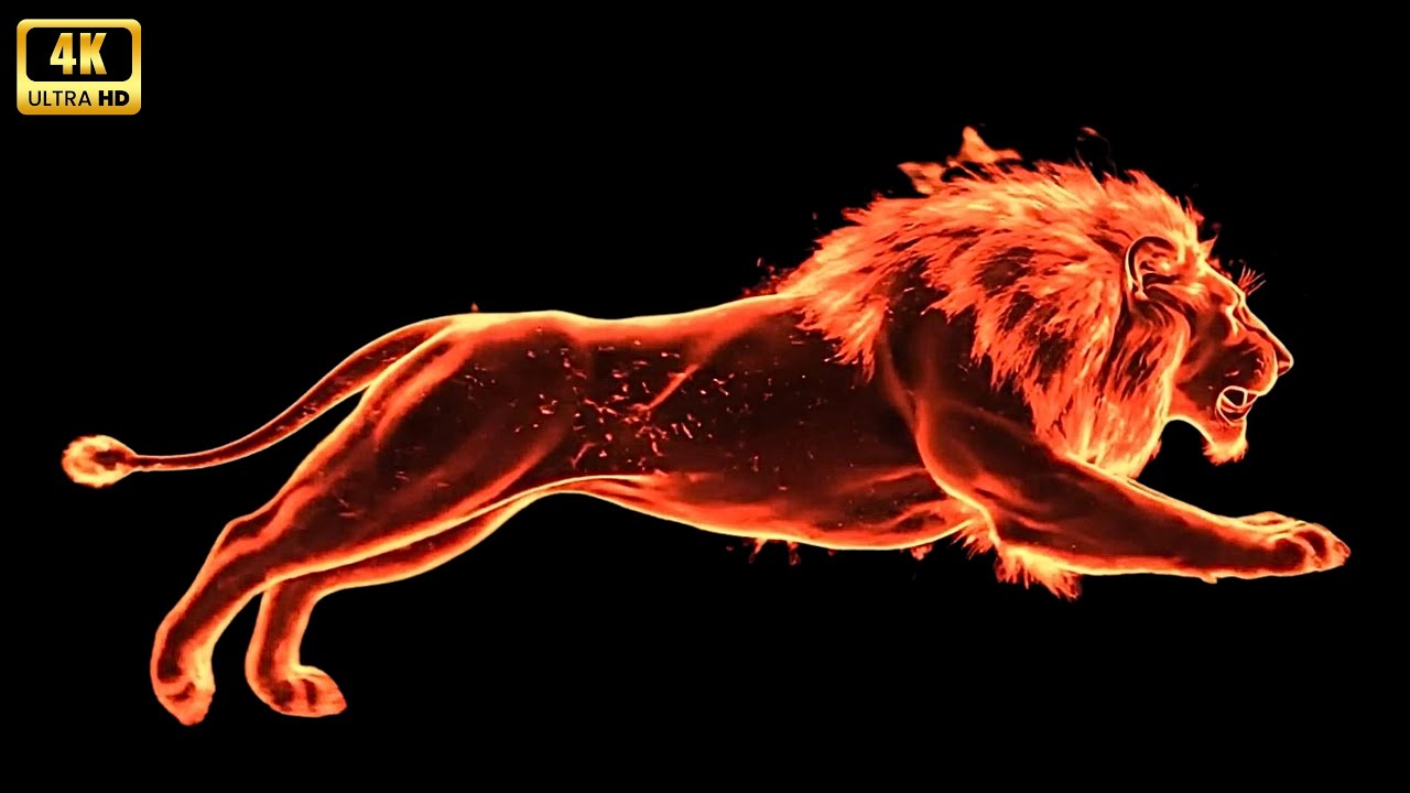 THE WILD IN 3D HOLOGRAM: WHEN PREDATORS COME TO LIFE  🦁