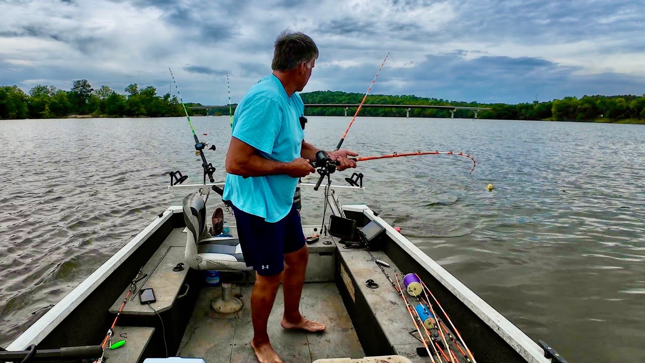 No Rhyme Or Reason You've Just Got To Look For These Fish
