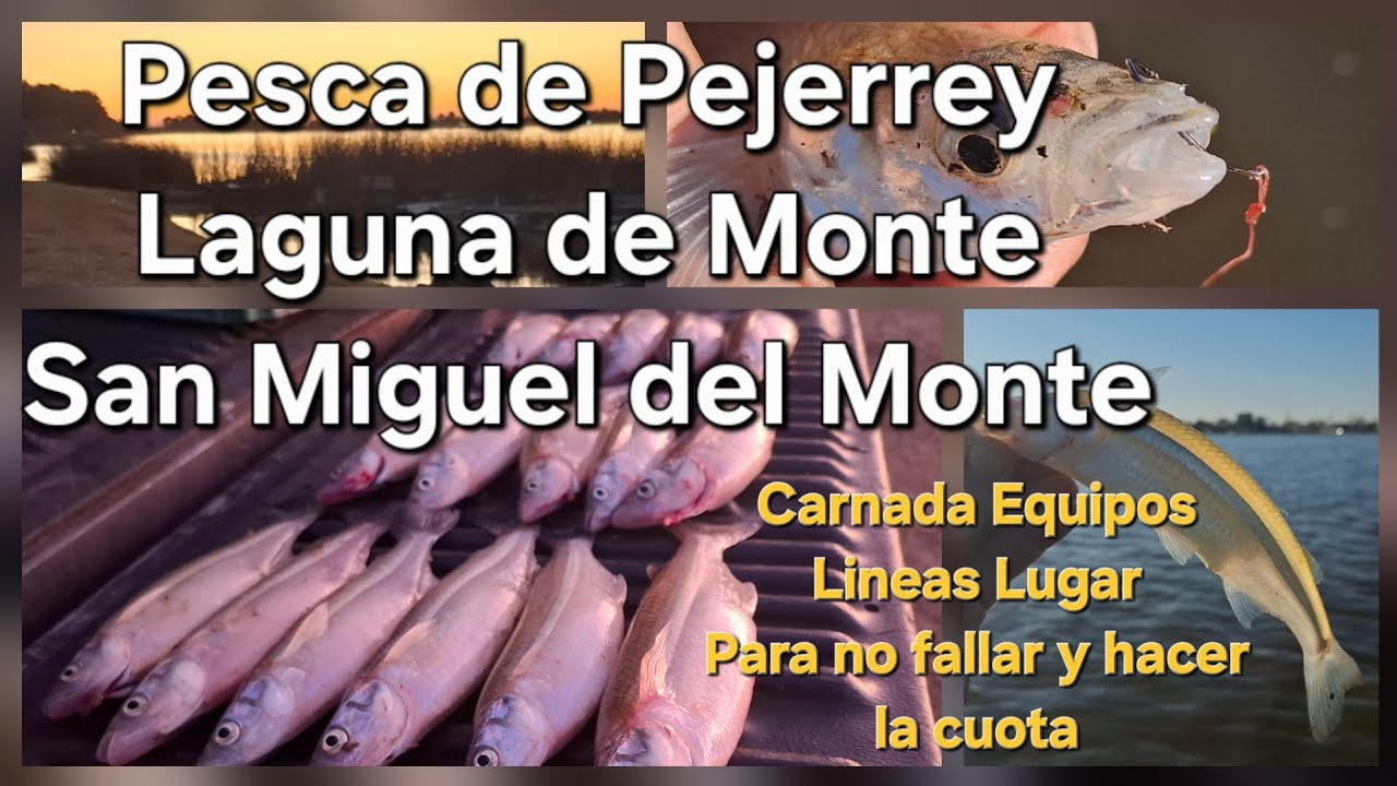 La Laguna me premio la perseverancia la constancia y el esfuerzo Pesca de Pejerreyes Laguna de Monte