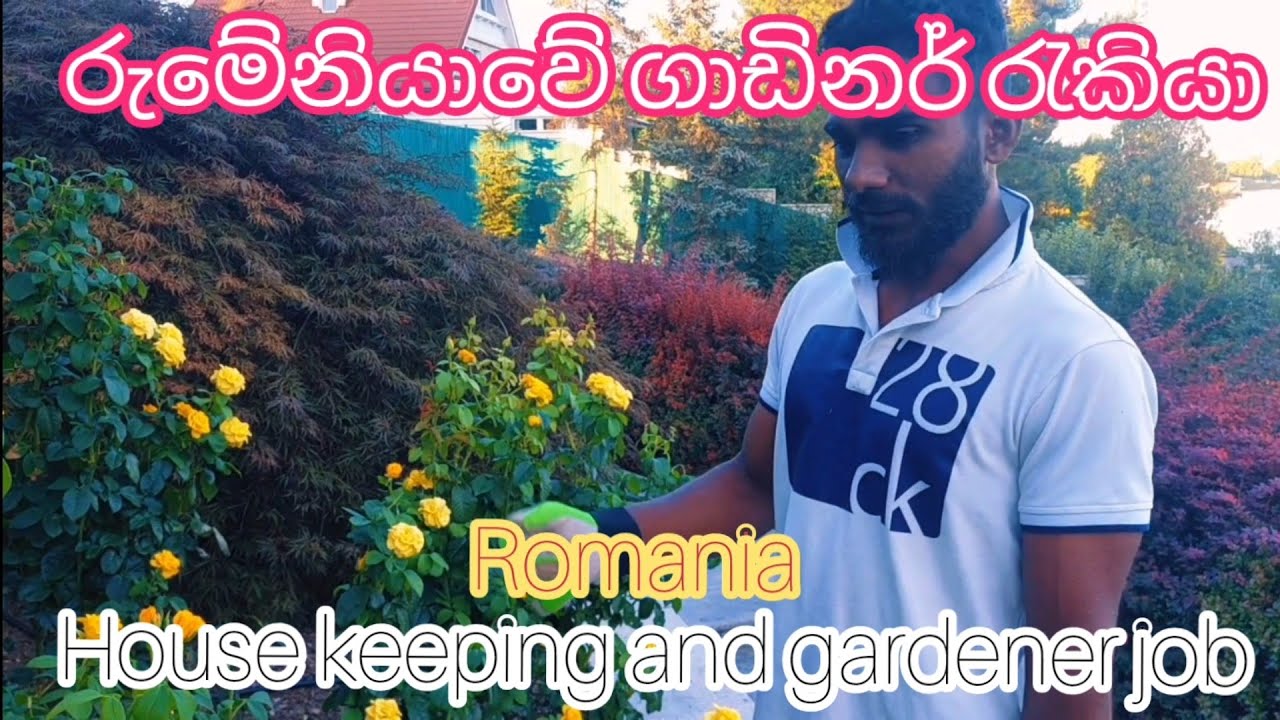 හවුස්` කීපින් සහ ගාඩිනර් job . house keeping ,gardener job