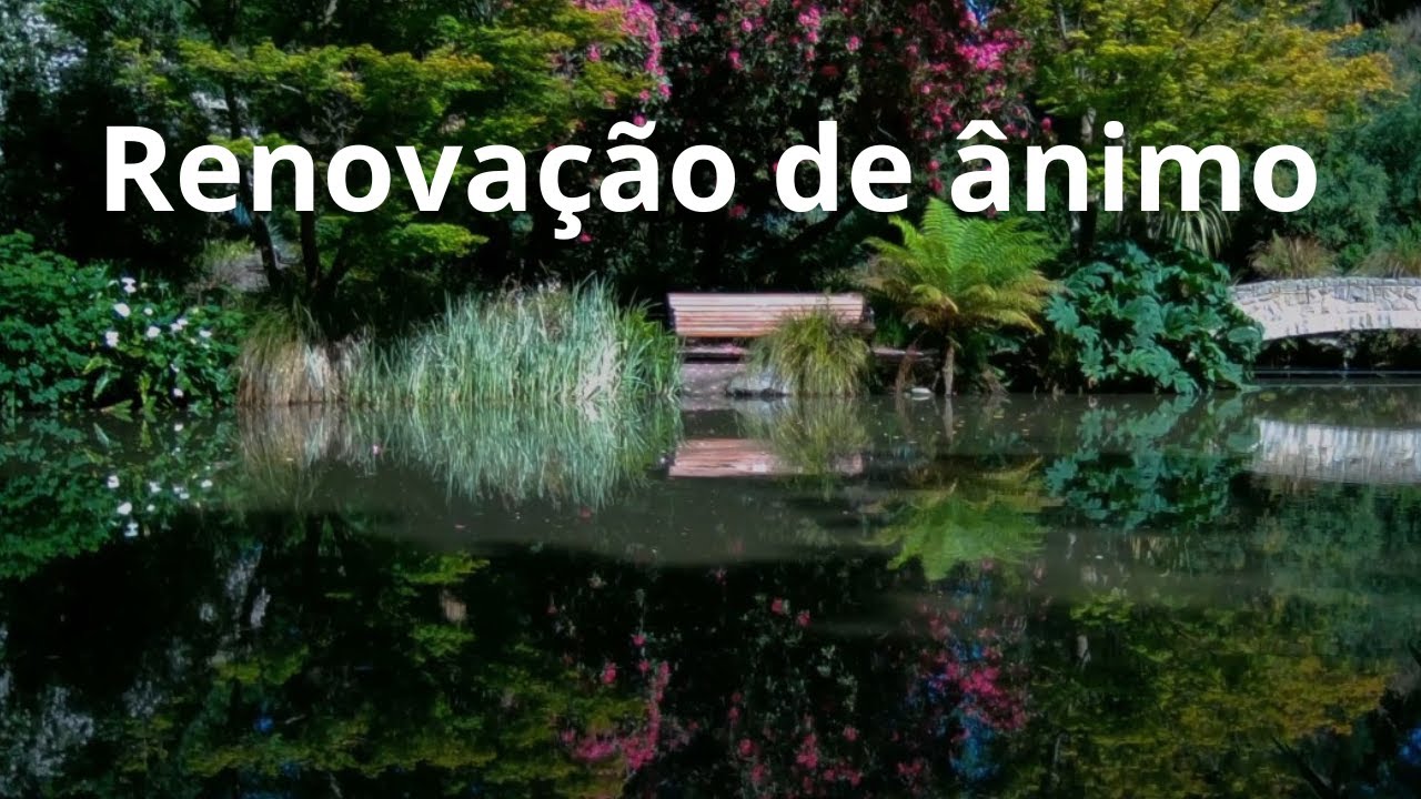 Renovação de ânimo - Momento Espírita