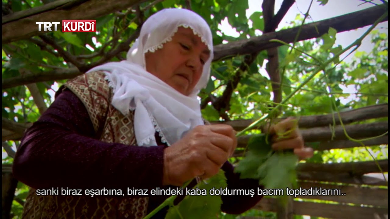 Sifra Malê - Beşa 7.