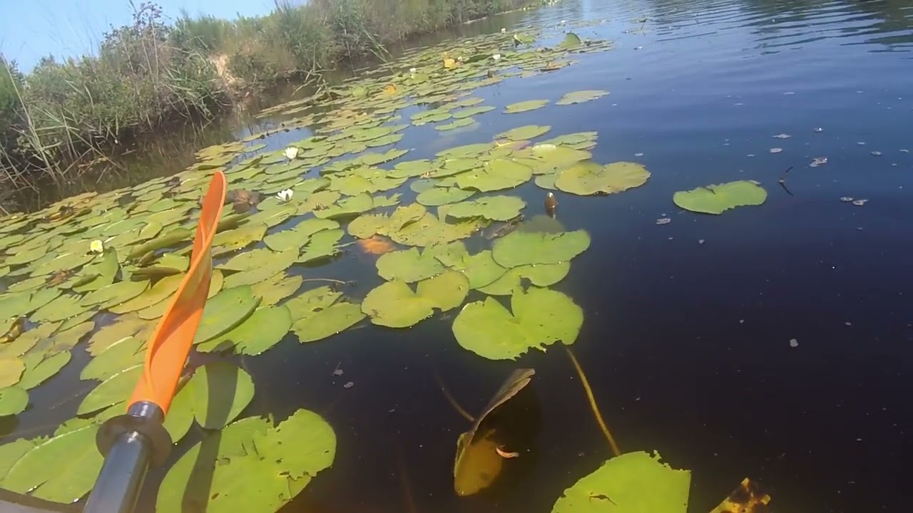 Sortie Kayak padlle  du16 JUILLET 2022