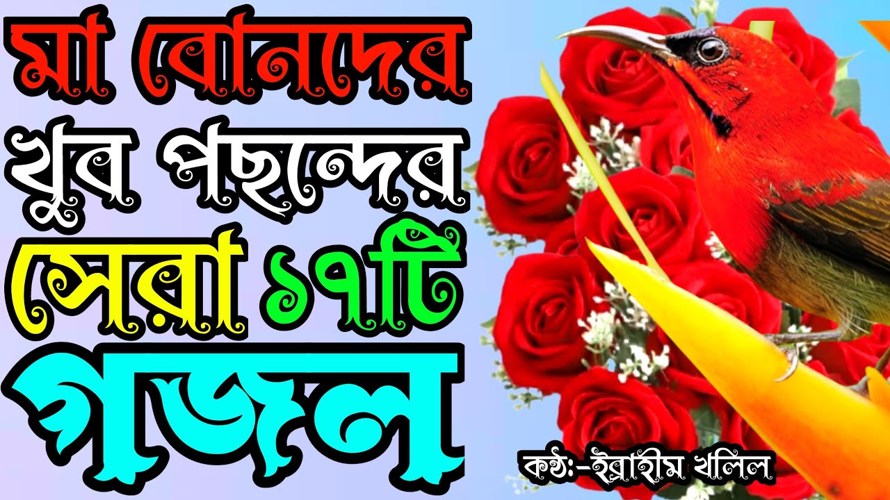 🔴Live পরকালের গজল গুলি ঘুমানোর আগে শুনুন মন ভরে যাবে ইনশাআল্লাহ || Live Gojol  || Gojol || gojal ||