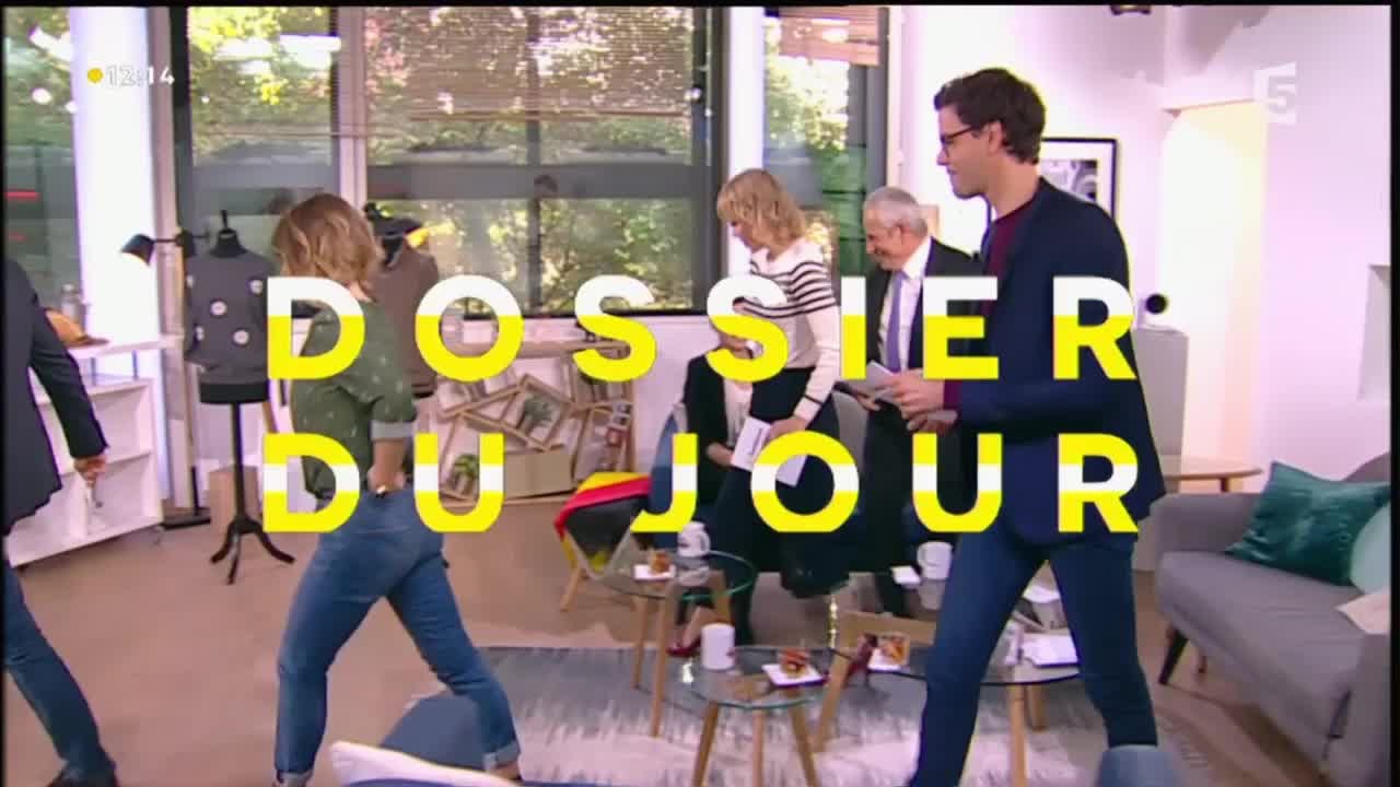 Dossier du Jour : Cachemire, alpaga, mohair...Quelles différences ? - La Quotidienne