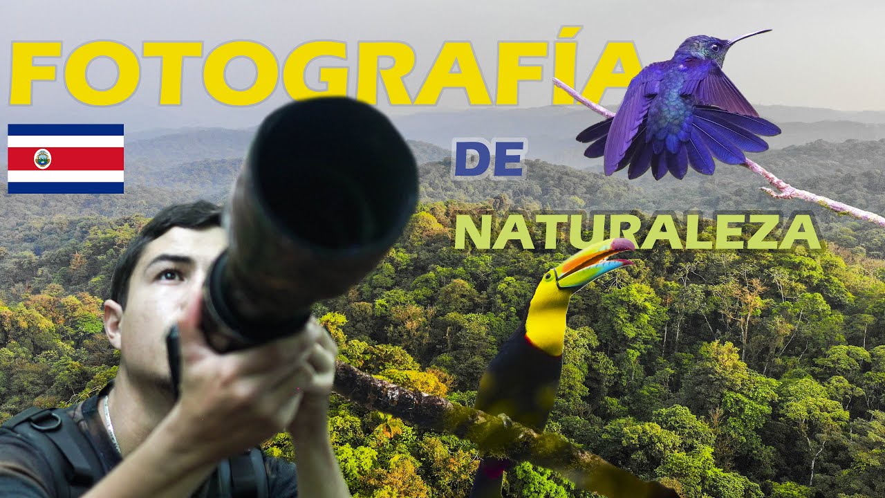 Fotografía de Naturaleza en Costa Rica / Muchas sorpresas