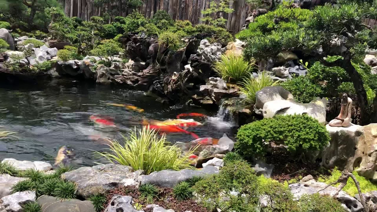 BÊN HỒ KOI 2 TẦNG TUYỆT ĐẸP Ở NHÀ ANH HIỀN BÌNH DƯƠNG . Ngày 29/7/2019