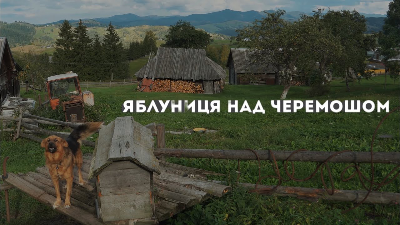 Знайшов клондайк грибів на безлюдному хуторі.