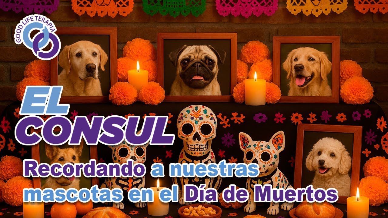 Recordando a nuestras mascotas en el Día de Muertos