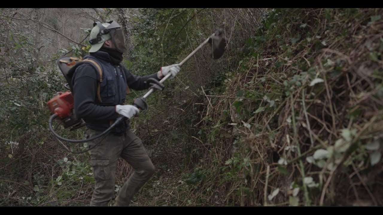 03 - RECINTO IL PASCOLO DELLE GALLINE