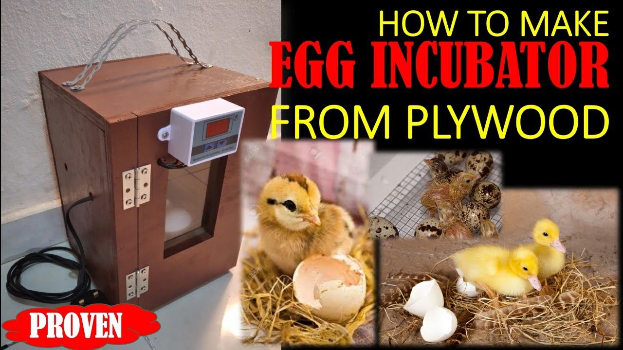 HOW TO MAKE EGG INCUBATOR FROM PLYWOOD | PROVEN ITEM | DIY |
