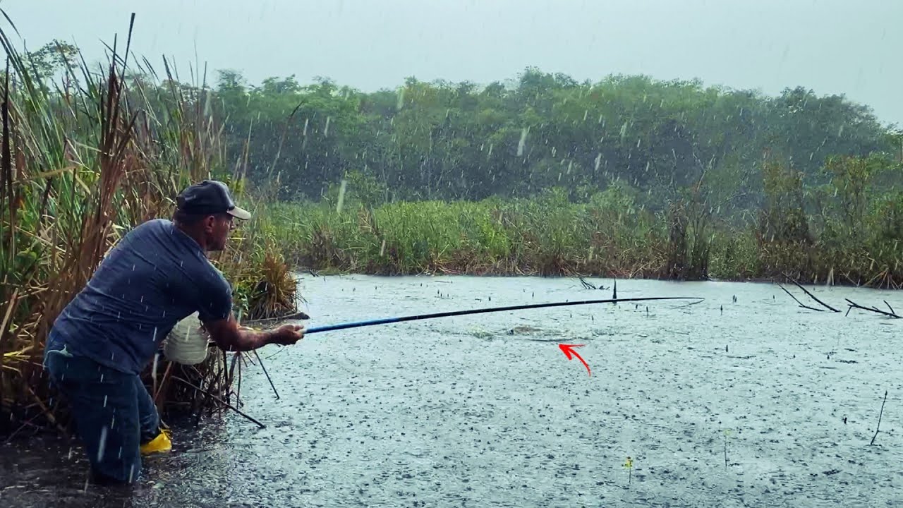 SERÁ QUE DEPOIS DO TEMPORAL ELES IRÃO EMBORA? Muitos peixes nessa buraca.