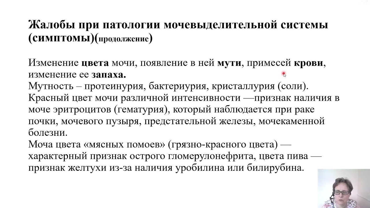 Пропедевтика внутренних болезней. Методы исследования мочевыделительной системы