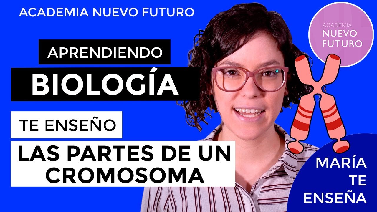 Clasificacion de Cromosomas y sus Partes (enti&eacute;ndelo y aprueba).