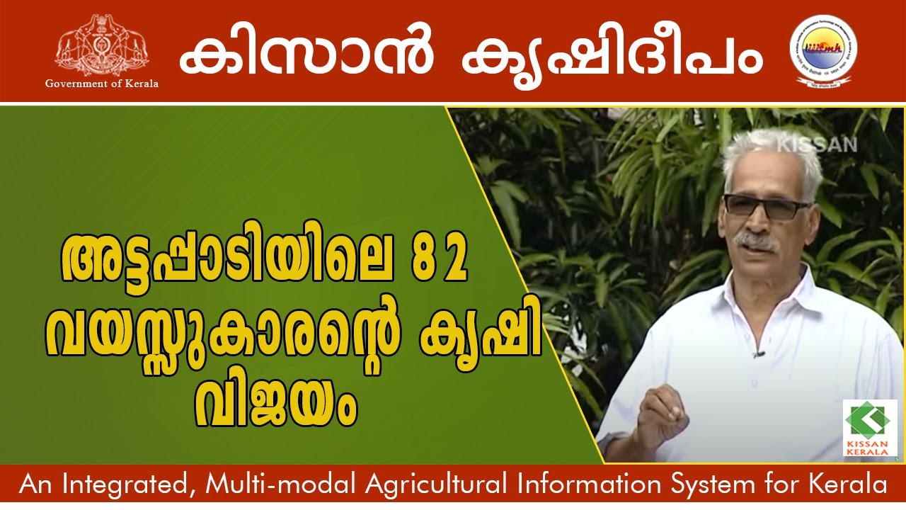 Success story of M.J. Joseph, 82 year old farmer at Attappadi, Palakkad - 613