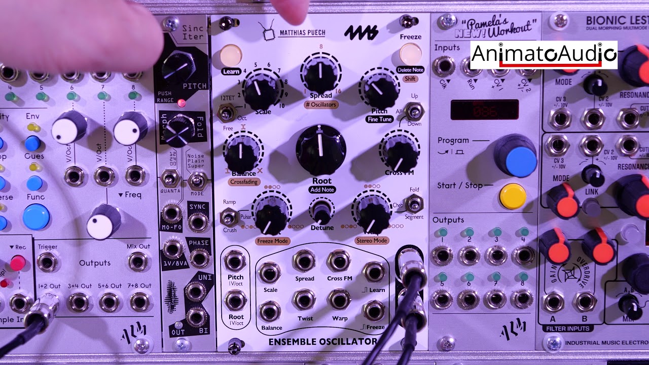 4ms Ensemble Oscillator Overview by Animato Audio
