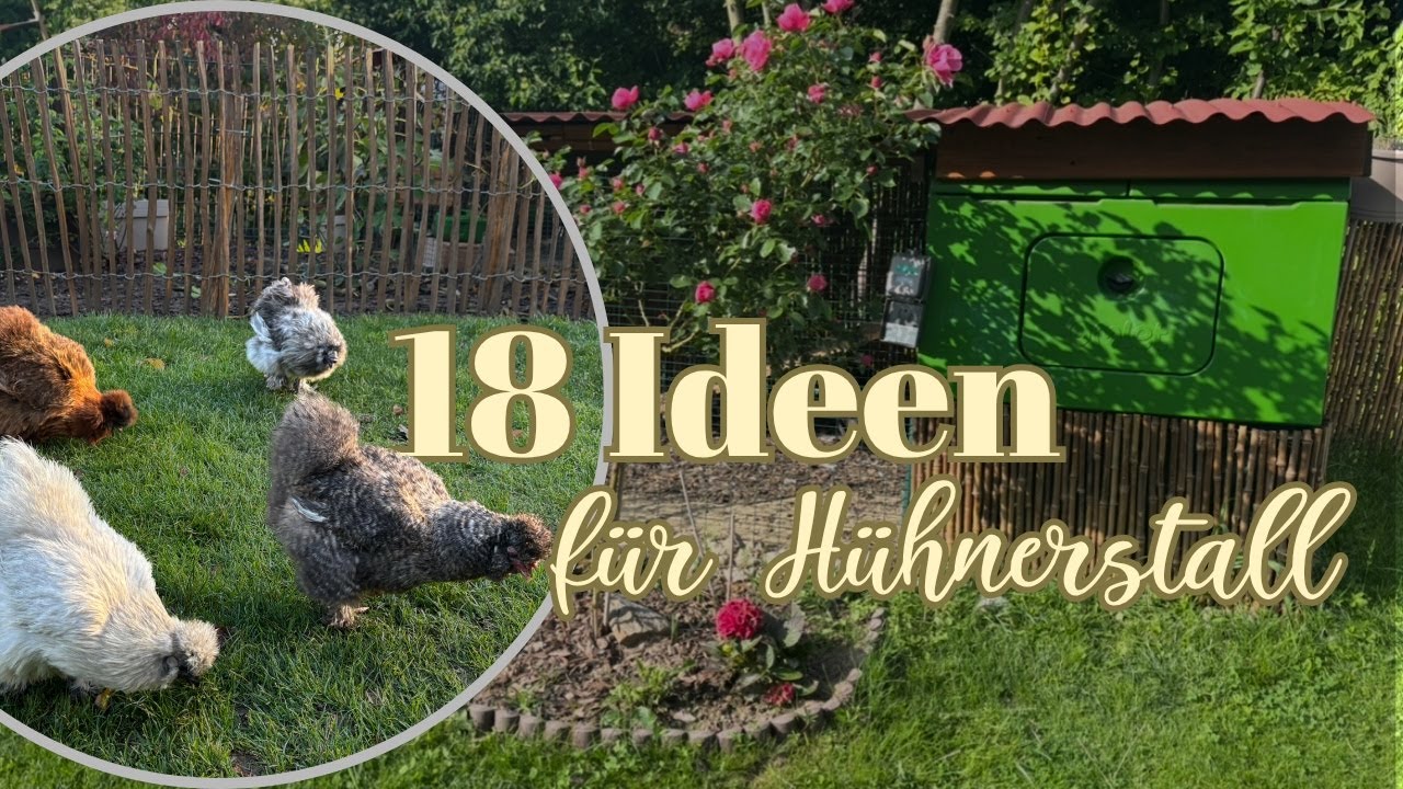 18 Hühnerstall-Hacks für deine Hühner im Garten - DIY Tipps 🛠️