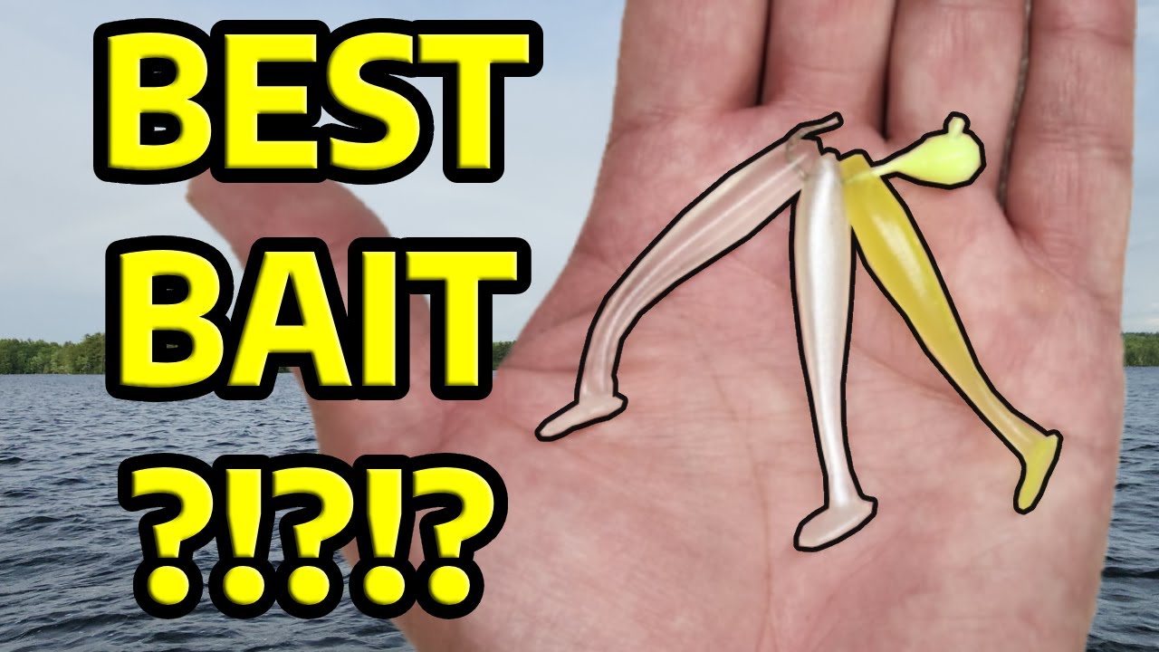 My Favorite Baits for Lake Trout | Lake Winnipesaukee