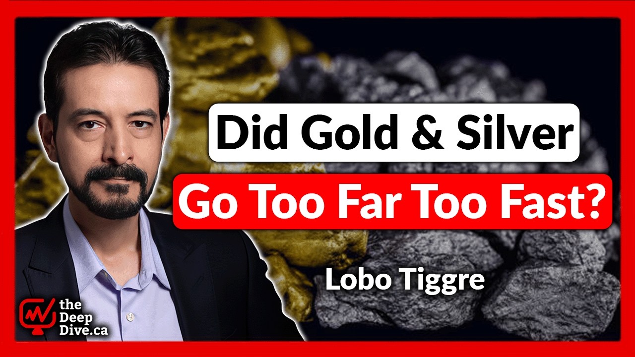 Did Gold and Silver Go Too Far Too Fast | Lobo Tiggre
