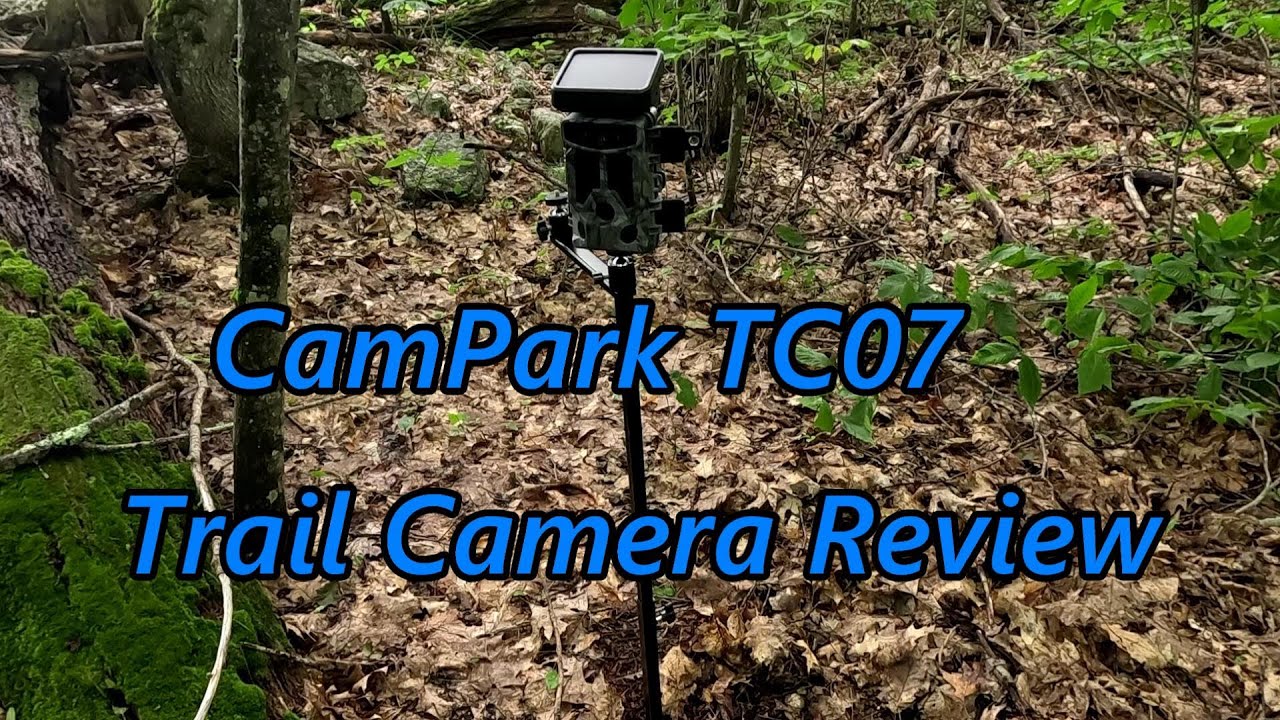 Tested a New Trail Camera | CamPark TC07 ~ What did it capture??