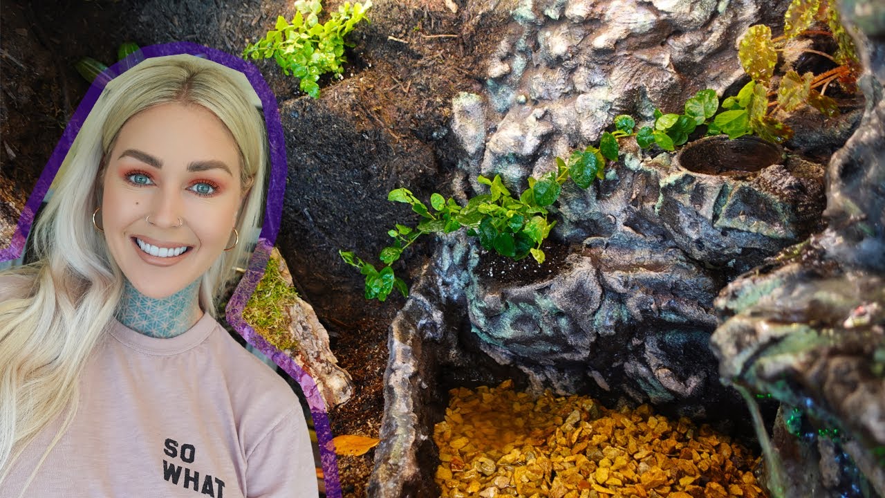 Building My FIRST Vivarium & DIY Rock Waterfall | NanoVivariumChallenge