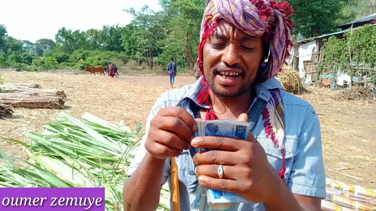 ከጁንታ የተረፈ ሸንኮራ አገዳ እየሸጥኩ ነው።#oumrz_emuye