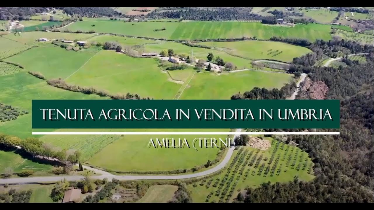 Umbria | Azienda Agricola in Vendita Umbria: Grande Tenuta con Allevamento e Scuderie