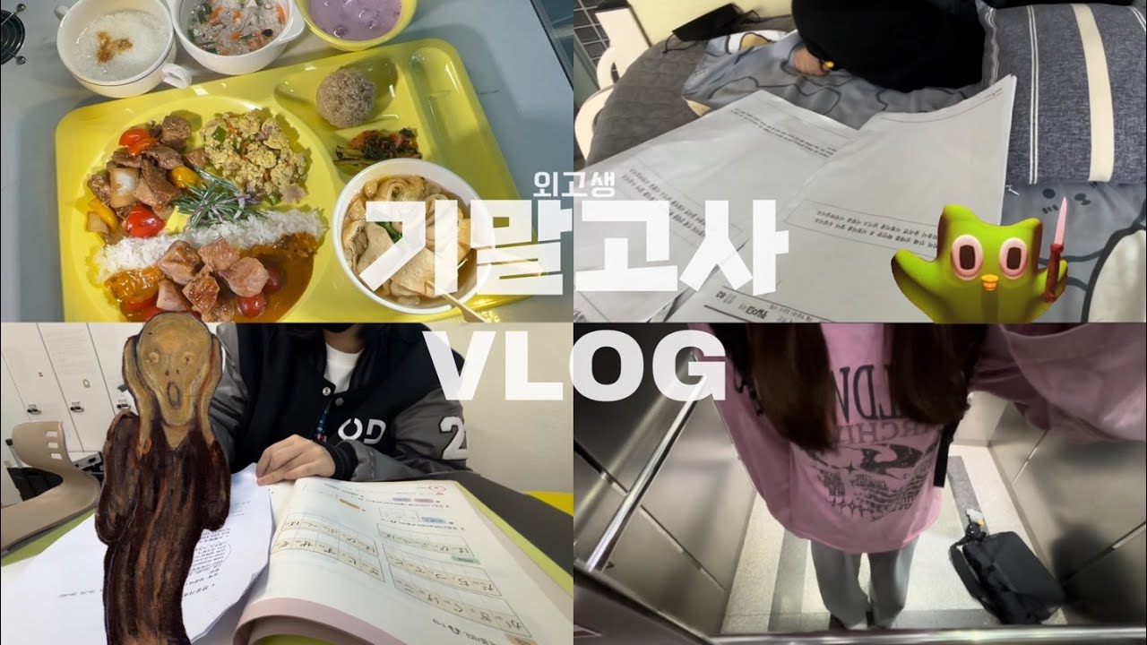 외고생 기말고사 브이로그