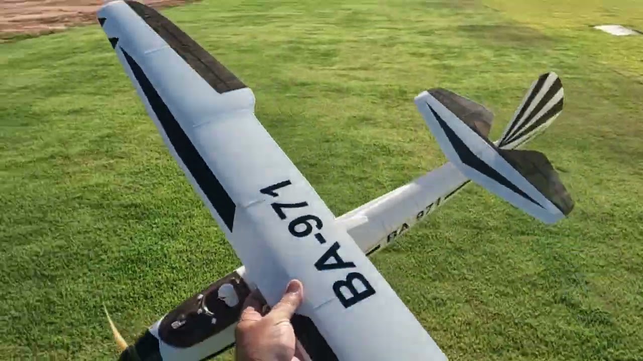 Eclipson go 1 wolf. Aeromodelo totalmente impresso em PLA basico