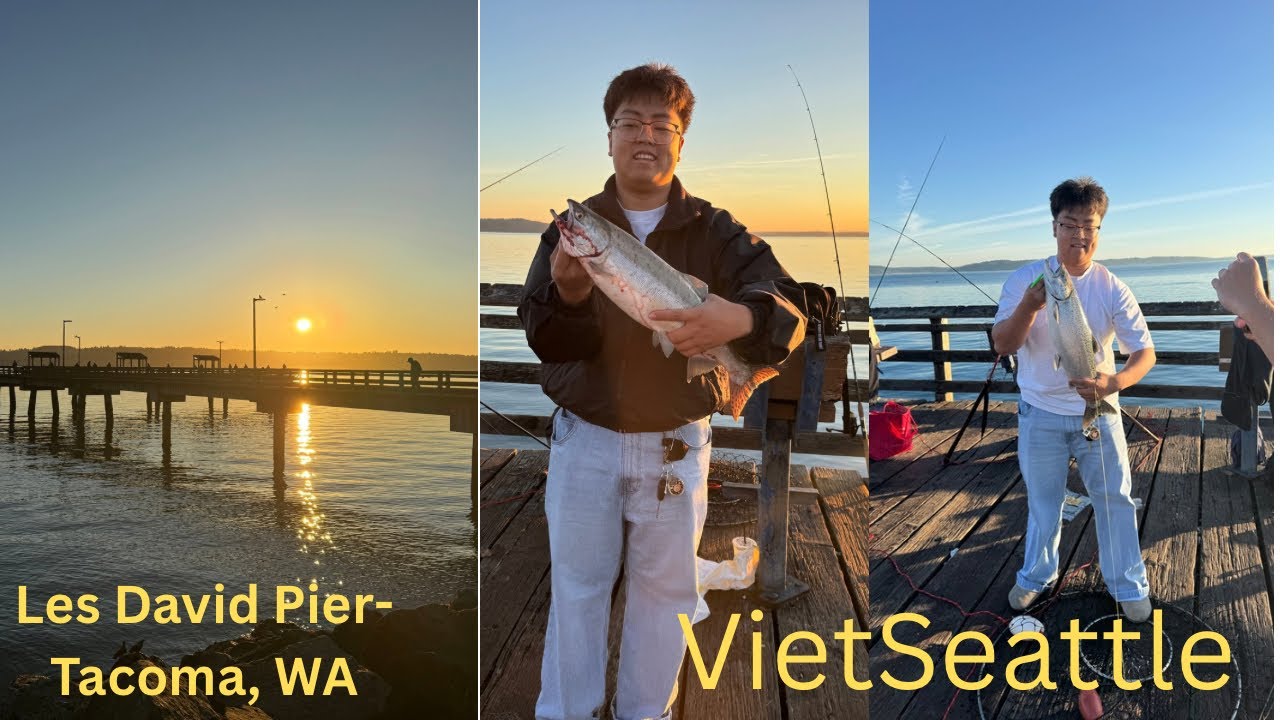 Epic Day of Salmon Fishing at Les Davis Pier &ndash; King & Pink Action! | Một Ng&agrave;y Tuyệt Vời Cho Cần Thủ!