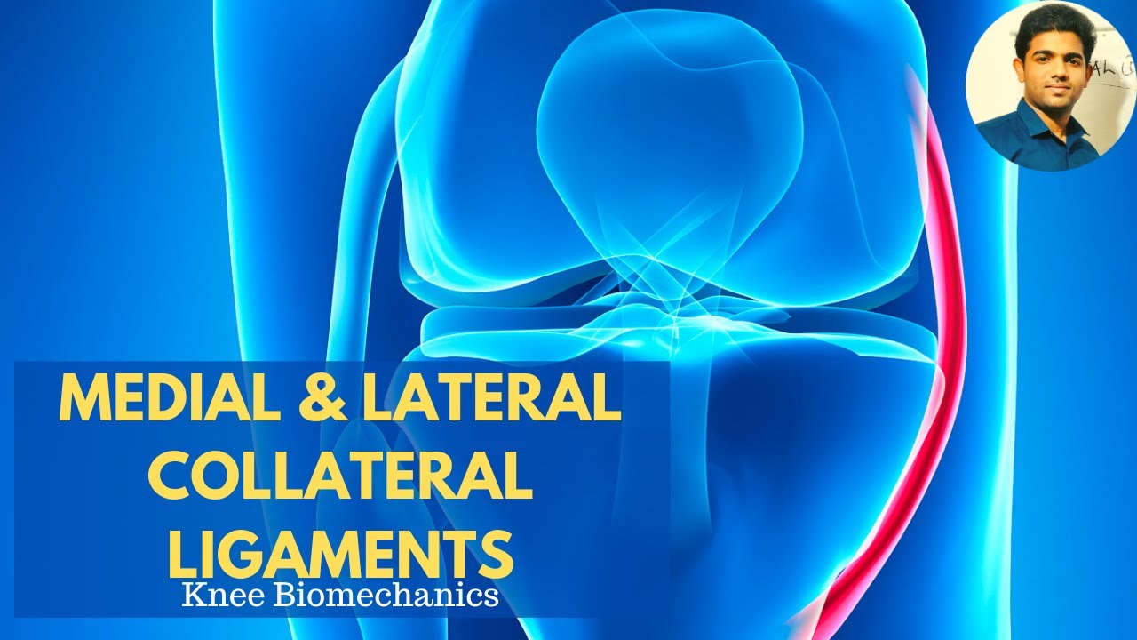 MEDIAL & LATERAL COLLATERAL LIGAMENTS  ( Anatomy & Biomechanics# applied)