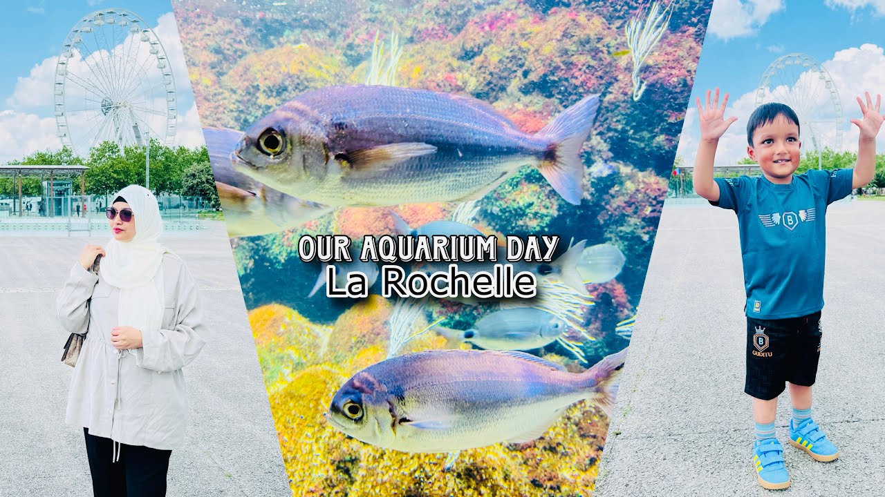 Our Aquarium Day...🐟🐠La Rochelle || 5th Day Of Vacation🔥