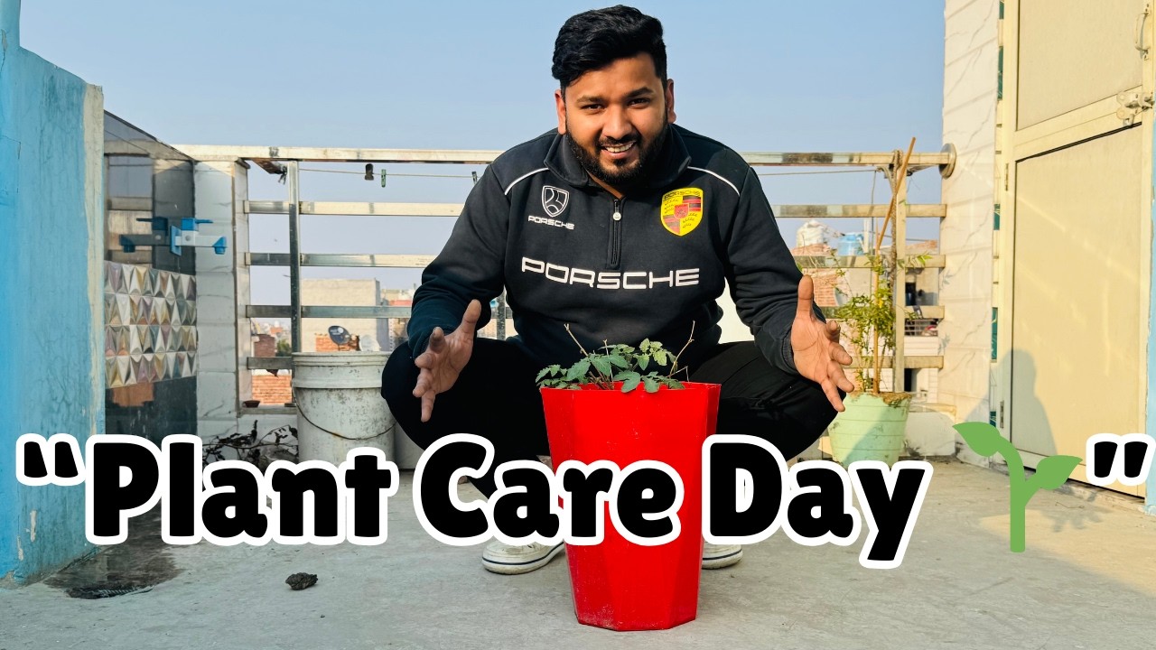 “पौधों का दिन 🌱”#viral #plants #vlog #dailyvlog #minivlog #comedy #food #indianvlogger #love #india