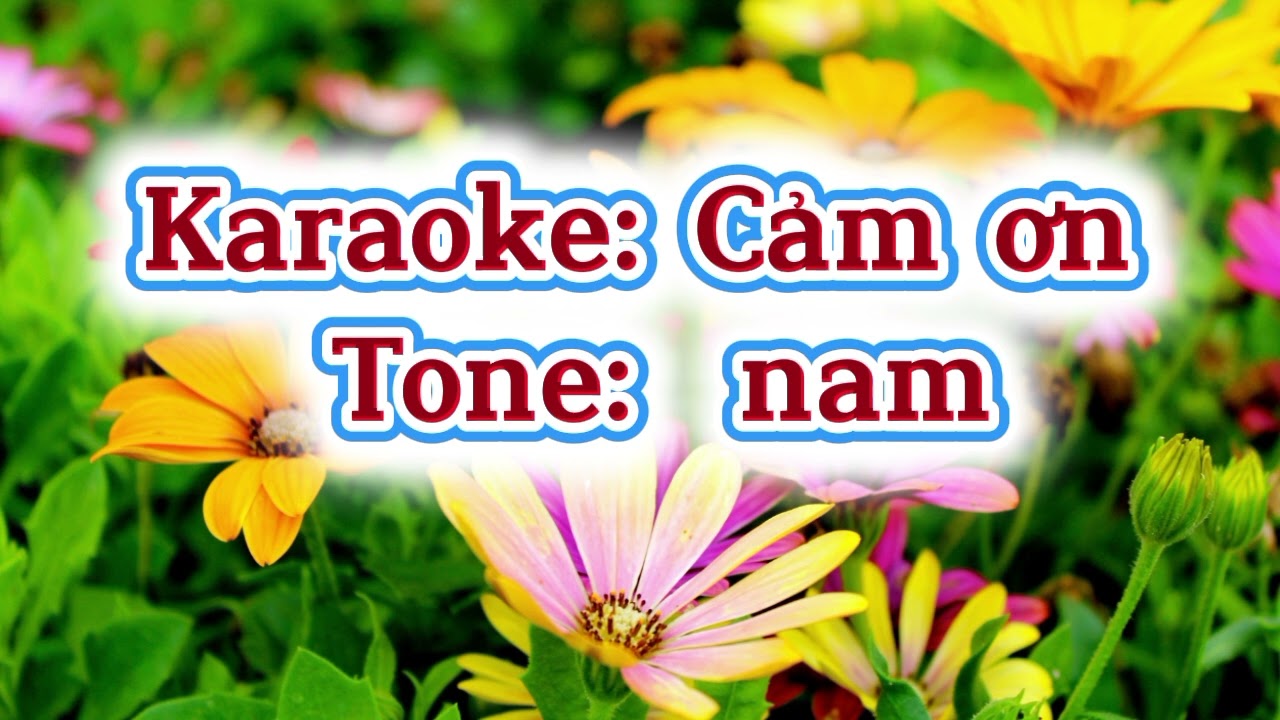 Cảm ơn; Karaoke,tone nam; st: Nhân Khánh 