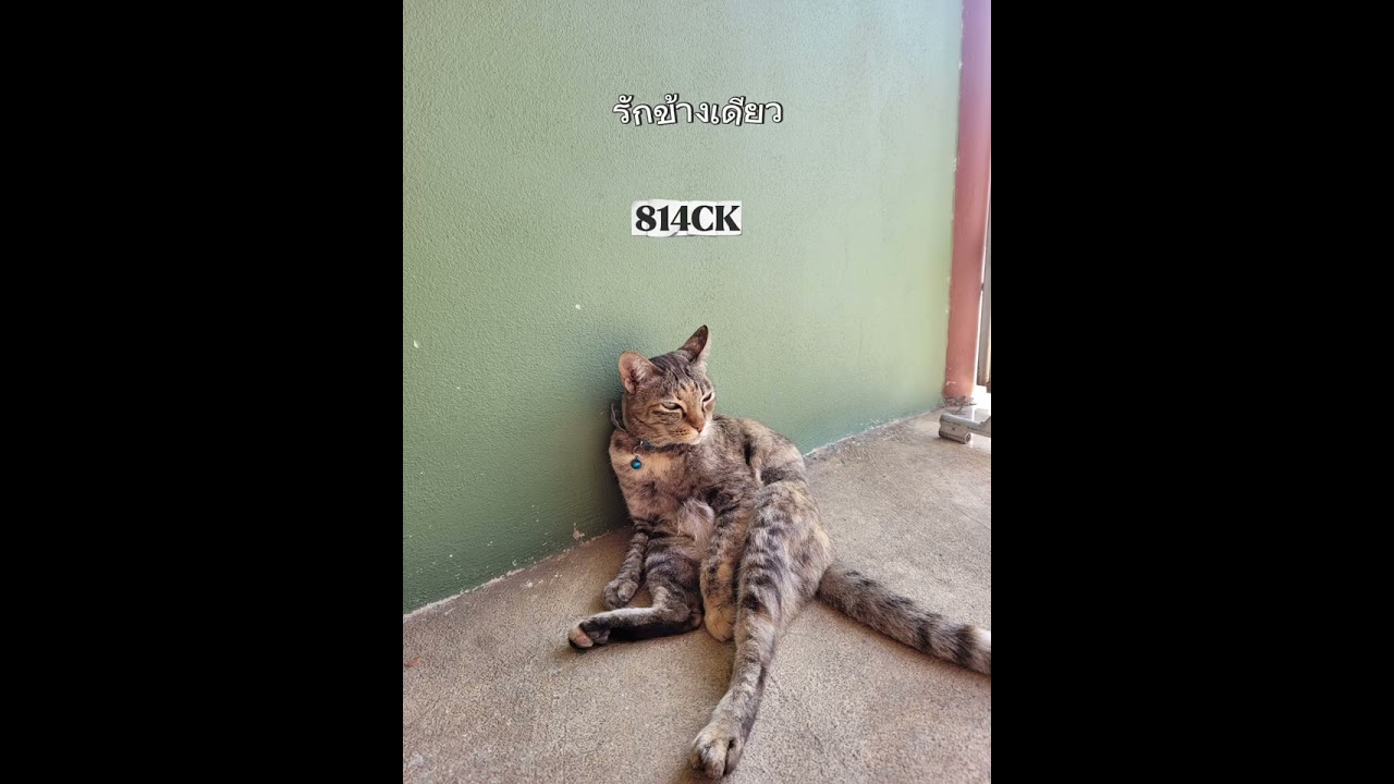 รักข้างเดียว By 814CK