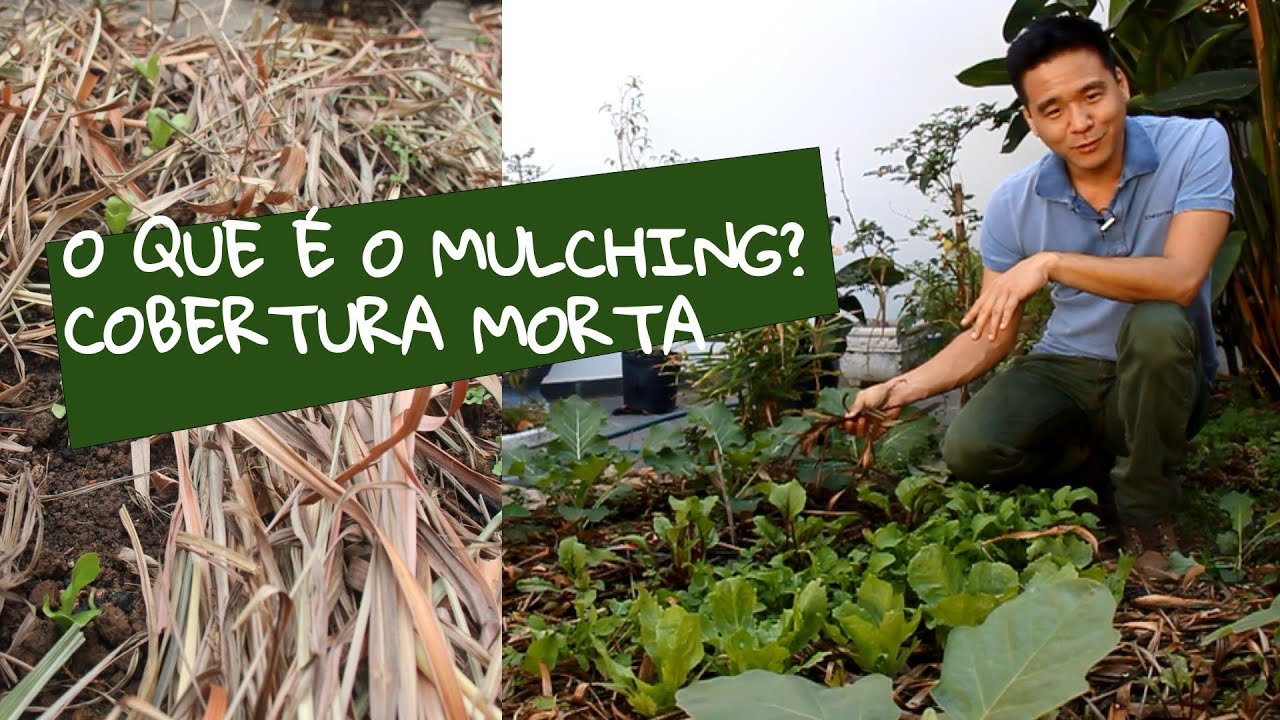 O que a COBERTURA MORTA faz pelo seu jardim. Conheça o Mulching.