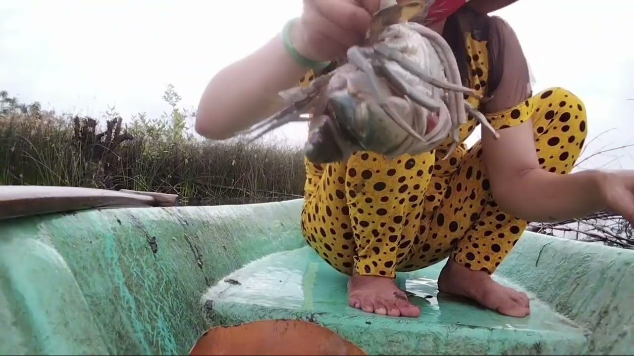 Nay mình thăm lờ được cua quá to
