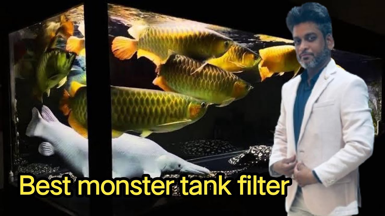 Monster aquarium mai konsa filter best hoga//bottom sump filtration kaise banaye 