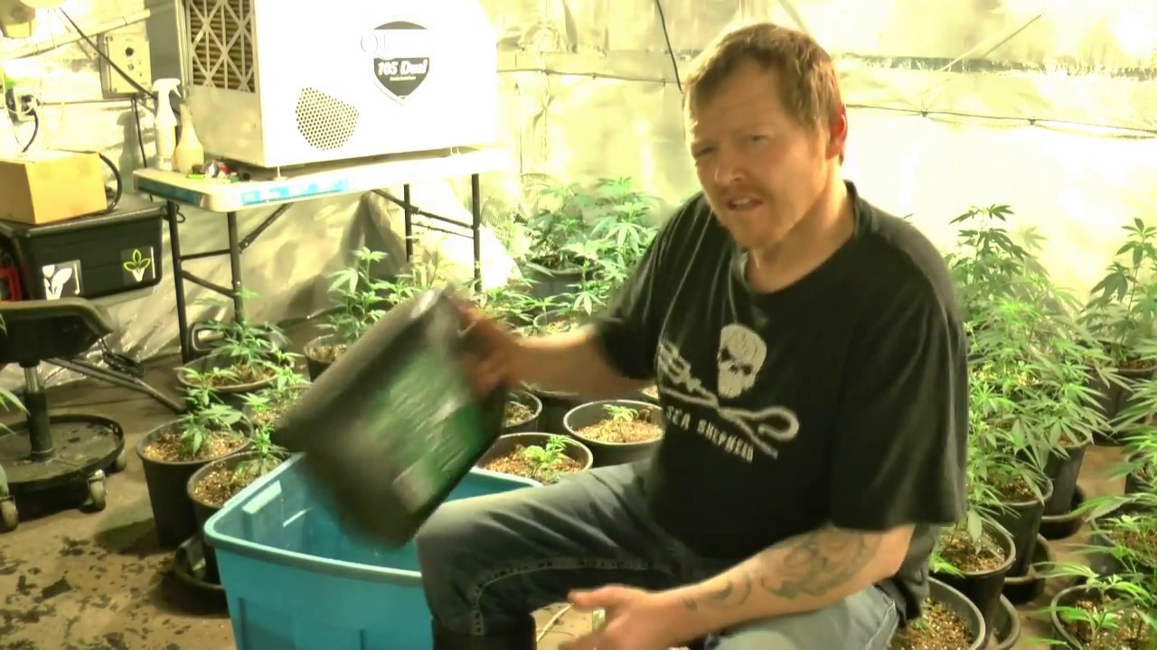 First Feed ...Grow Your Own